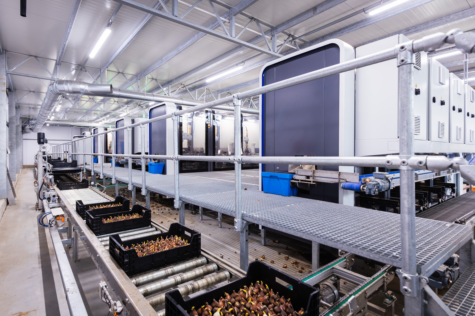 Nine BulbPlanters in a row, TTA-ISO's machine for inserting tulip bulbs into crates.