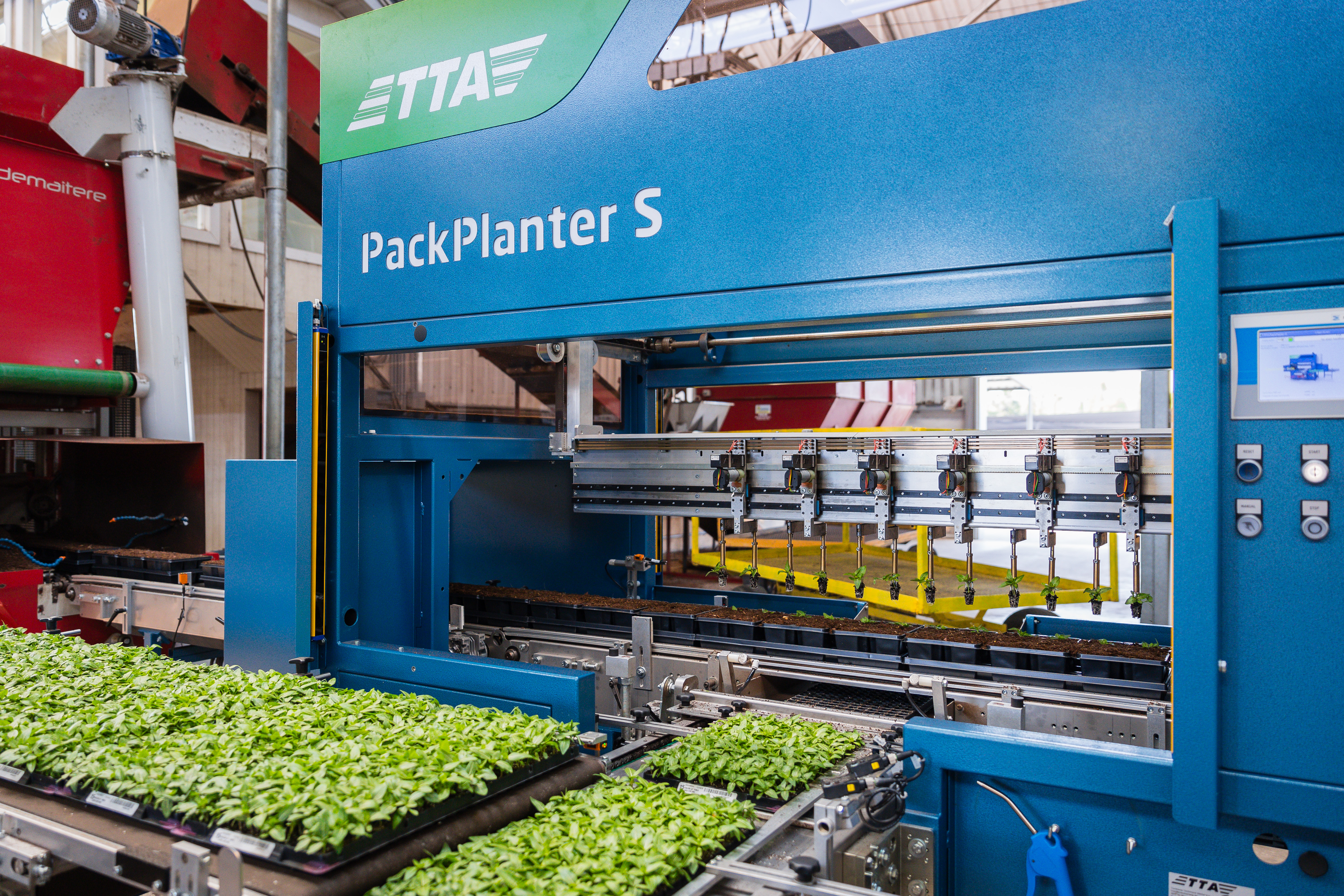 Robotic grippers of the TTA-ISO PackPlanter-S holding plant plugs while transplanting in a greenhouse.